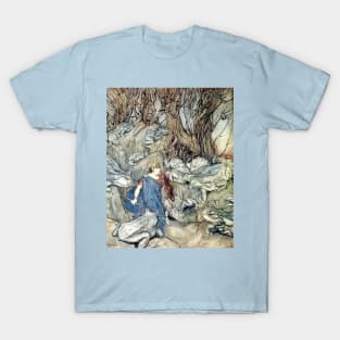 Becuma of the White Skin - Irish Fairy Tales - Arthur Rackham T-Shirt